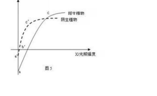 照度lx是什么意思？怎么读取？