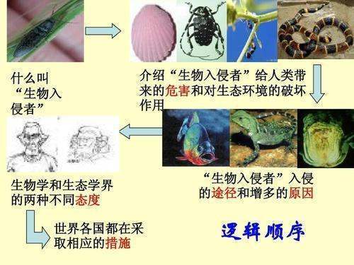 逻辑顺序的作用是什么？