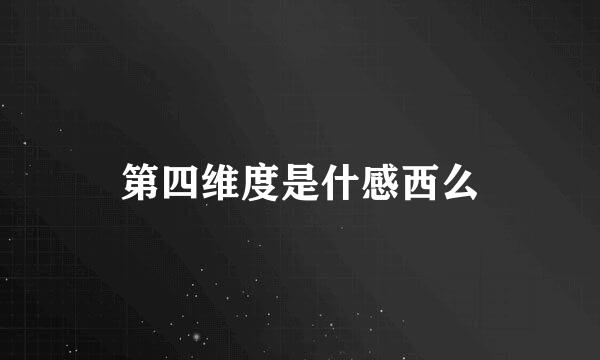 第四维度是什感西么