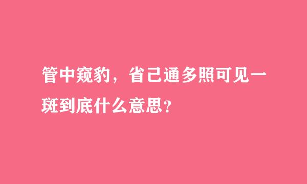 管中窥豹，省己通多照可见一斑到底什么意思？