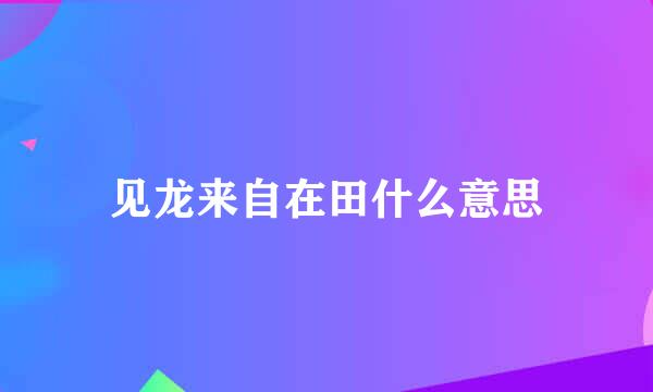 见龙来自在田什么意思