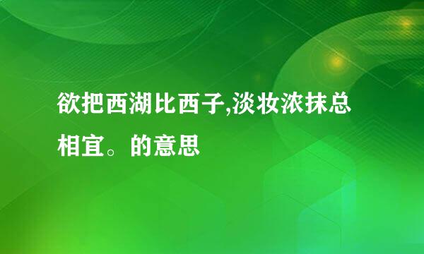 欲把西湖比西子,淡妆浓抹总相宜。的意思