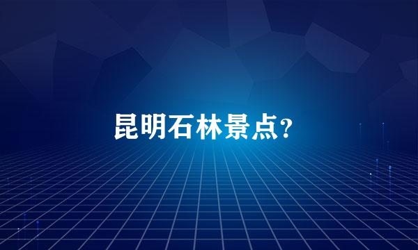 昆明石林景点？