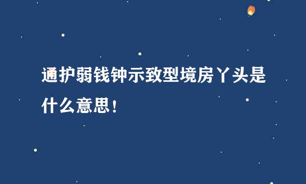 通护弱钱钟示致型境房丫头是什么意思！