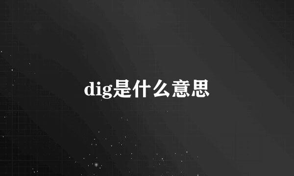 dig是什么意思