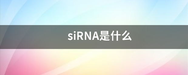 siRNA是什么