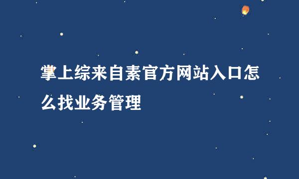 掌上综来自素官方网站入口怎么找业务管理