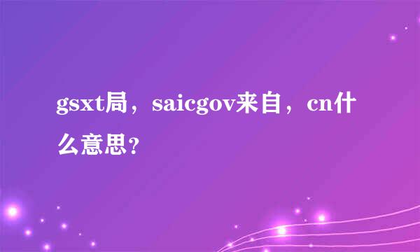 gsxt局，saicgov来自，cn什么意思？