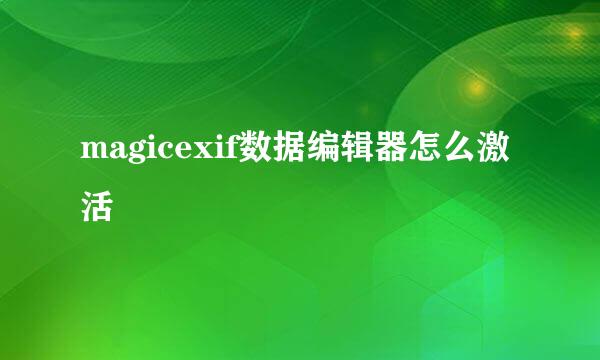 magicexif数据编辑器怎么激活