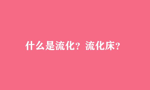 什么是流化？流化床？