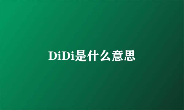 DiDi是什么意思