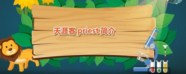 天涯客priest简介