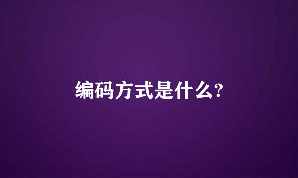 编码方式是什么?