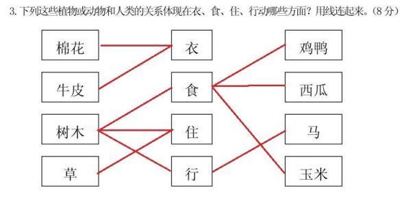 二年级科学