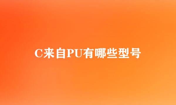 C来自PU有哪些型号