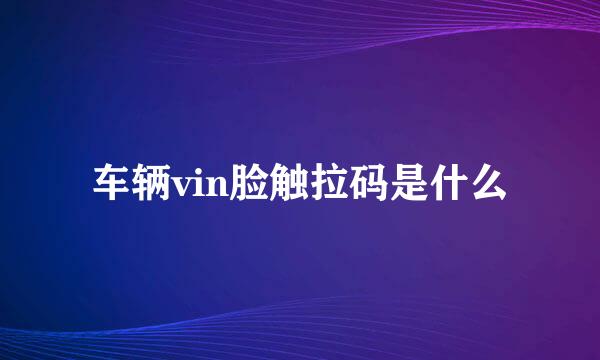 车辆vin脸触拉码是什么