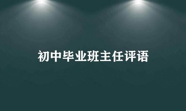 初中毕业班主任评语