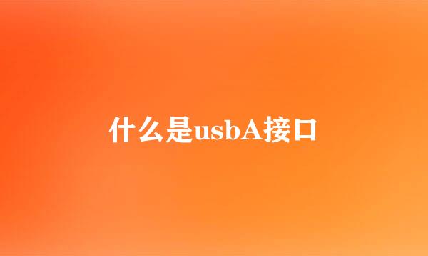 什么是usbA接口