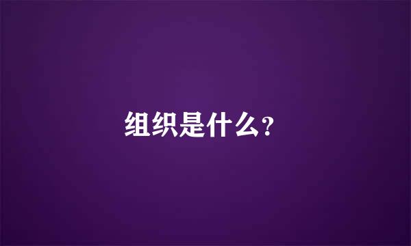 组织是什么？