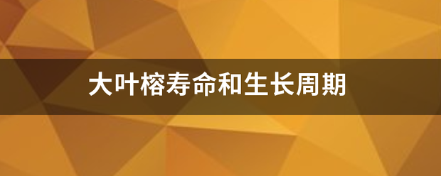 大叶榕寿命和生长周期