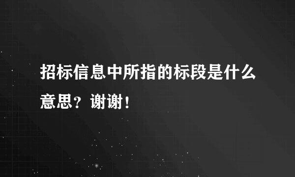 招标信息中所指的标段是什么意思？谢谢！