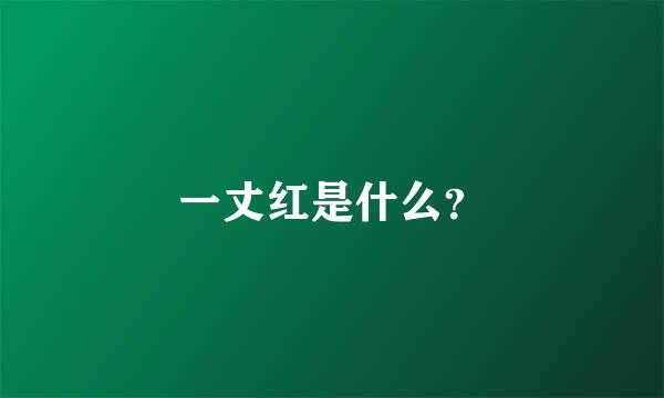 一丈红是什么？