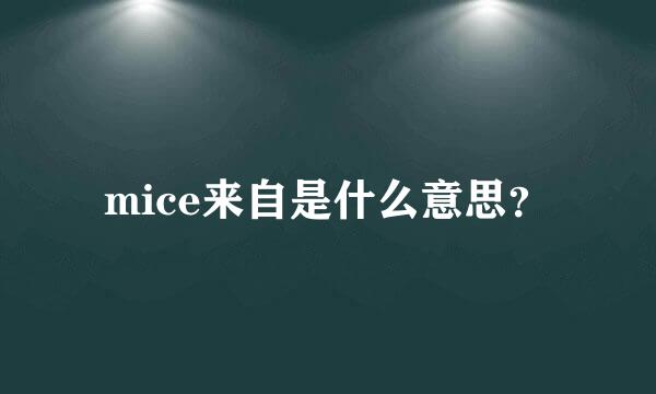 mice来自是什么意思？