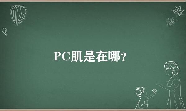 PC肌是在哪？