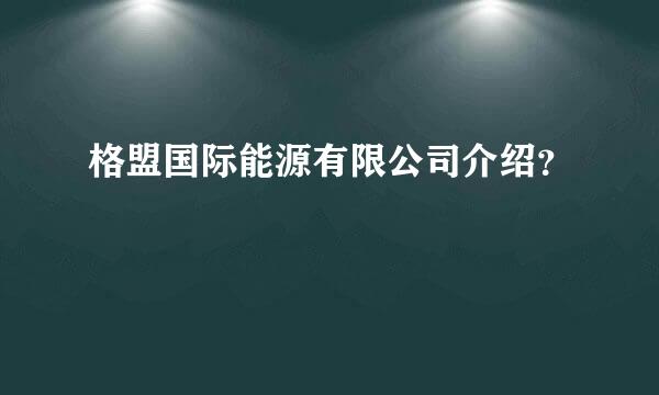 格盟国际能源有限公司介绍？