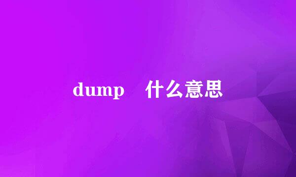 dump 什么意思