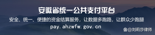 安徽省统史则一公共支付平台