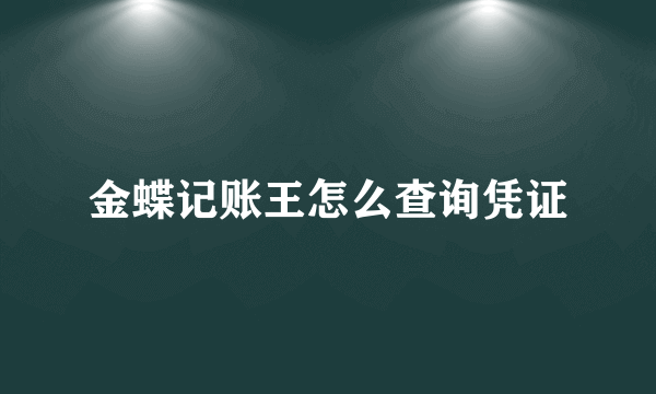 金蝶记账王怎么查询凭证