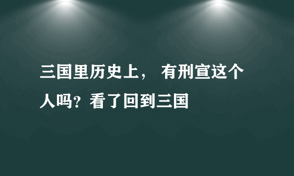 三国里历史上， 有刑宣这个人吗？看了回到三国