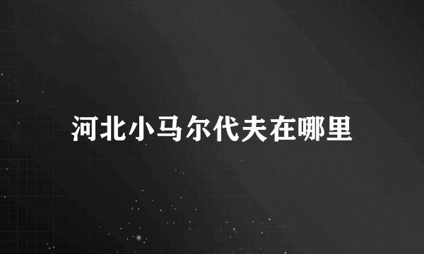 河北小马尔代夫在哪里