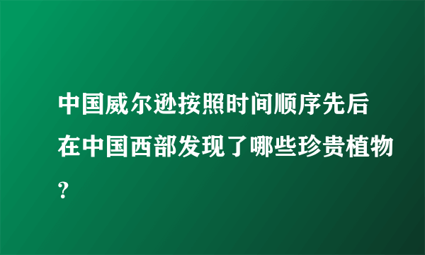 中国威尔逊按照时间顺序先后在中国西部发现了哪些珍贵植物？