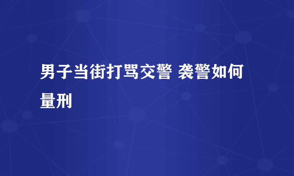 男子当街打骂交警 袭警如何量刑