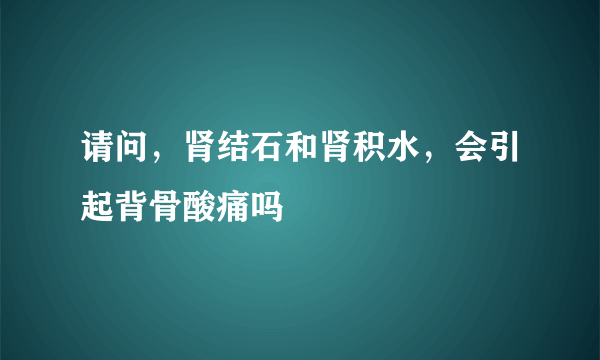 请问，肾结石和肾积水，会引起背骨酸痛吗