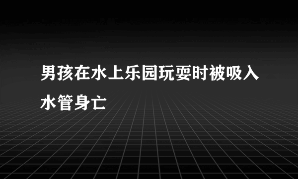 男孩在水上乐园玩耍时被吸入水管身亡