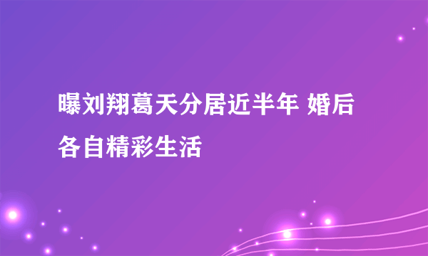 曝刘翔葛天分居近半年 婚后各自精彩生活