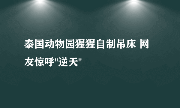 泰国动物园猩猩自制吊床 网友惊呼