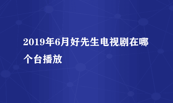 2019年6月好先生电视剧在哪个台播放