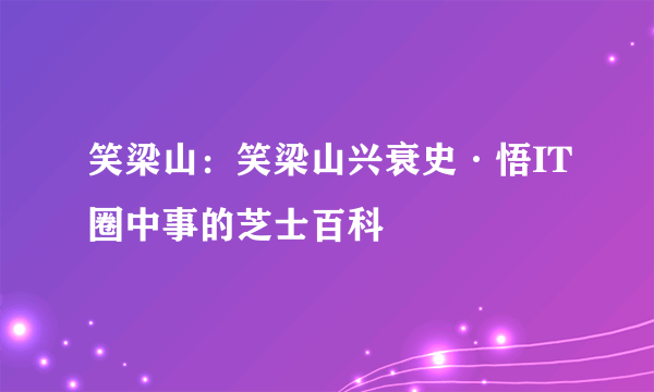 笑梁山：笑梁山兴衰史·悟IT圈中事的芝士百科