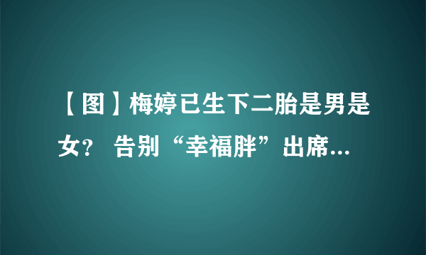 【图】梅婷已生下二胎是男是女？ 告别“幸福胖”出席文化座谈会