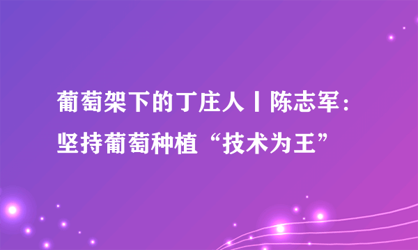 葡萄架下的丁庄人丨陈志军：坚持葡萄种植“技术为王”