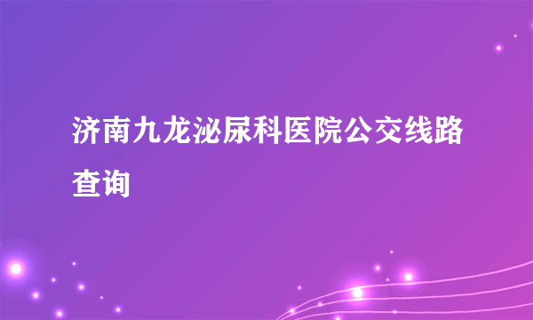 济南九龙泌尿科医院公交线路查询