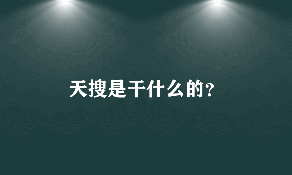 天搜是干什么的？