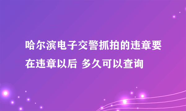 哈尔滨电子交警抓拍的违章要在违章以后 多久可以查询