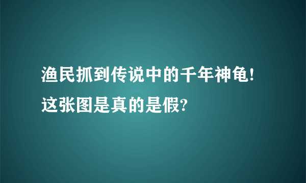 渔民抓到传说中的千年神龟! 这张图是真的是假?