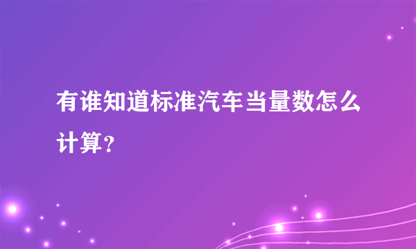 有谁知道标准汽车当量数怎么计算？