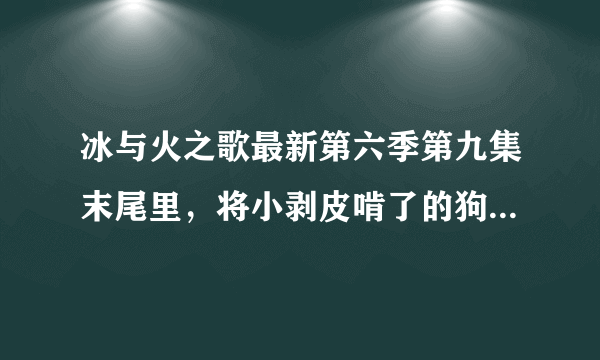 冰与火之歌最新第六季第九集末尾里，将小剥皮啃了的狗是啥品种？